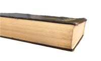 Lutherbibel 1984 mit Apokryphen